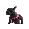 ZEE.DOG PINK SKULL STEP-IN HARNESS
